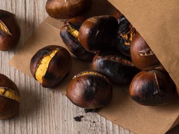 The chestnut bounty