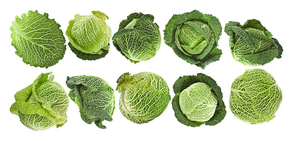 A babble of cabbage