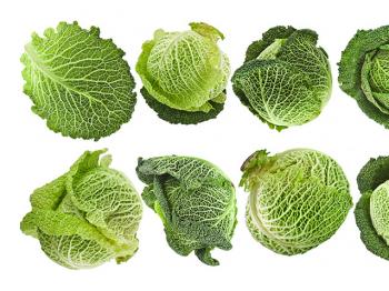 A babble of cabbage