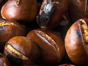 The chestnut bounty