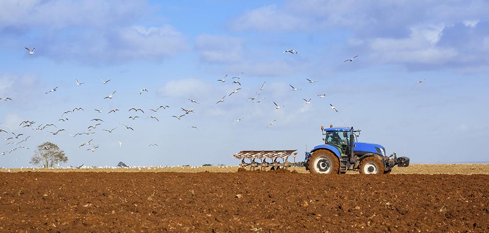 4 reasons to celebrate harvest time