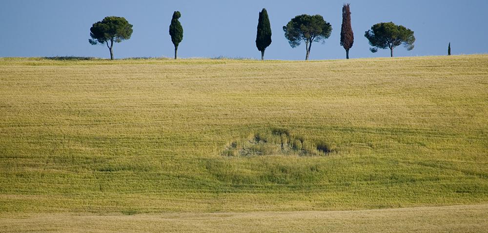Tuscany: home of a Gladiator