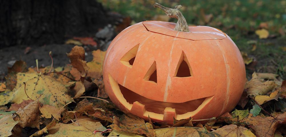 Talking pumpkin heads