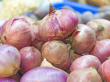 Tropea – a city that knows its onions